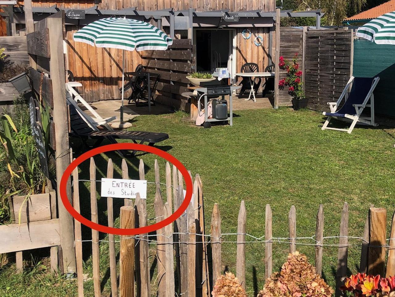 Les Logis D'Argent Studio Independant Parking Entree Autonome Linge De Lit Et Serviettes Wifi Fibre Tv Connectee Мимизан-Плаж Экстерьер фото